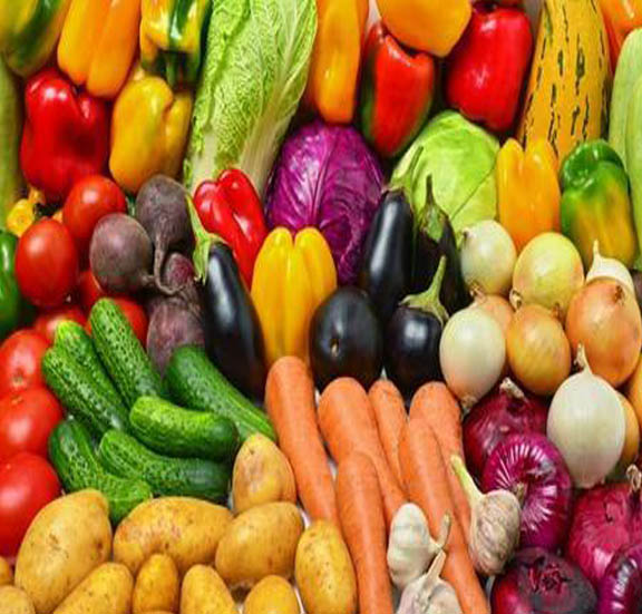 tout legumes